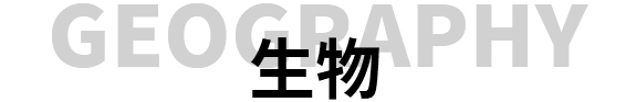 西安佳成補習(xí)學(xué)校_西安高考補習(xí),西安初三補習(xí),高三全日制補習(xí),初三全日制補習(xí),高三復(fù)讀補習(xí)學(xué)校